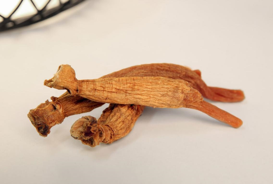 Cây hồng sâm