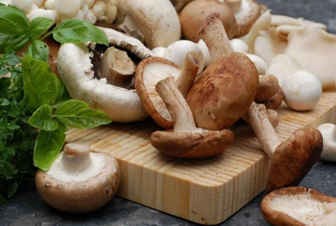 Bộ sưu tập hình ảnh nấm hương tươi đẹp