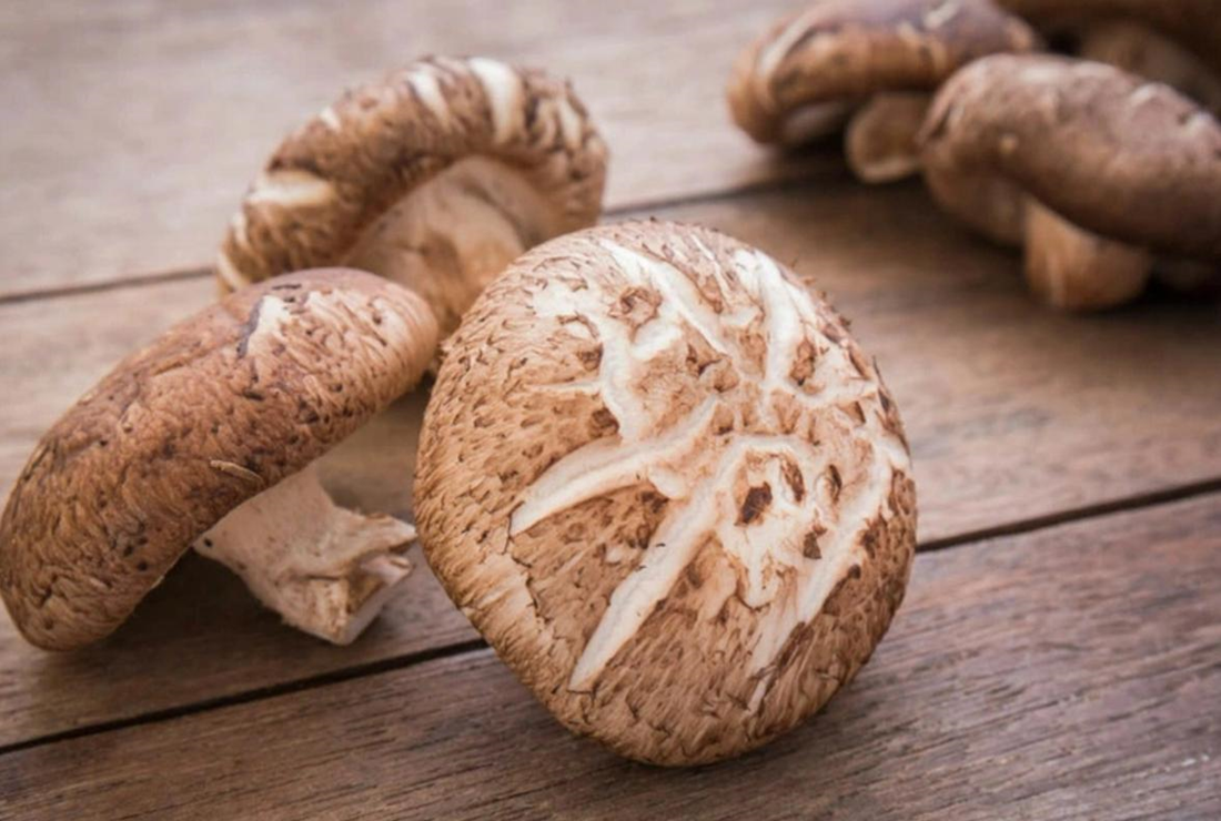 Bộ sưu tập hình ảnh nấm hương tươi đẹp