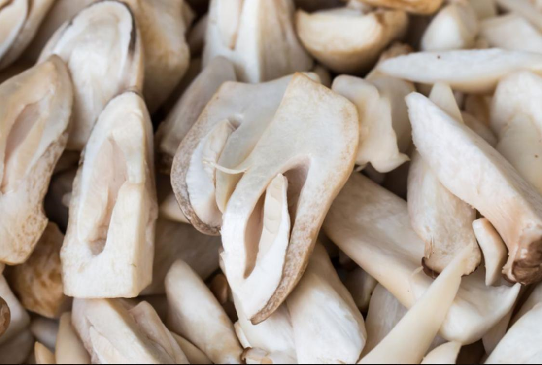 Bộ sưu tập hình ảnh nấm rơm đẹp