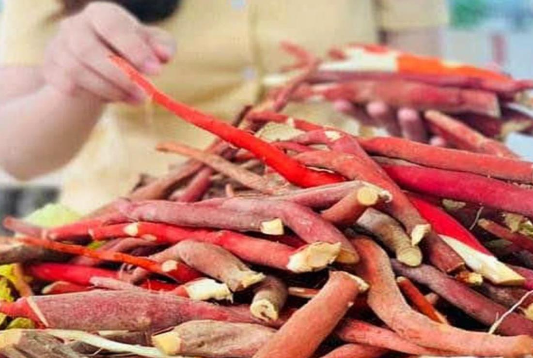 Tìm hiểu hình ảnh cây sâm cau đỏ