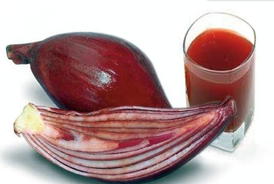 Cây sâm đại hành