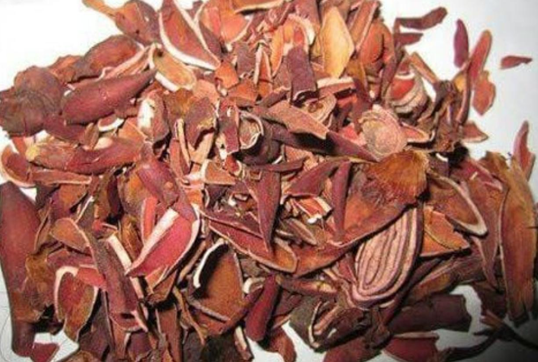 Cây sâm đại hành