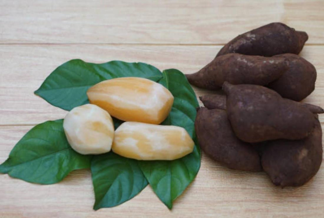 Bộ sưu tập hình ảnh củ sâm đất