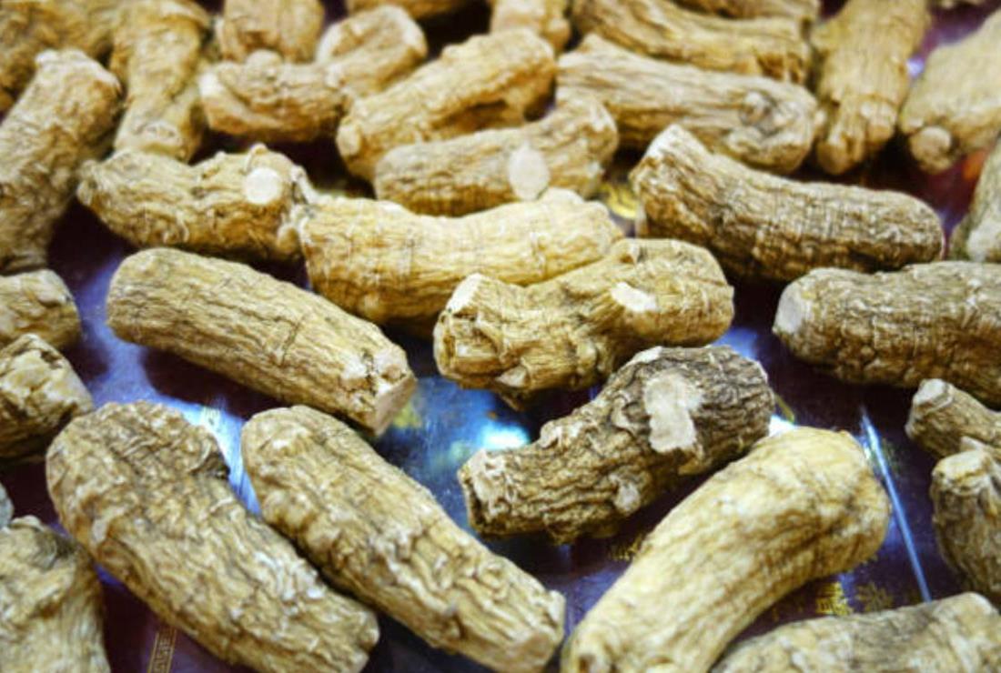Bộ sưu tập hình ảnh củ sâm Ngọc Linh
