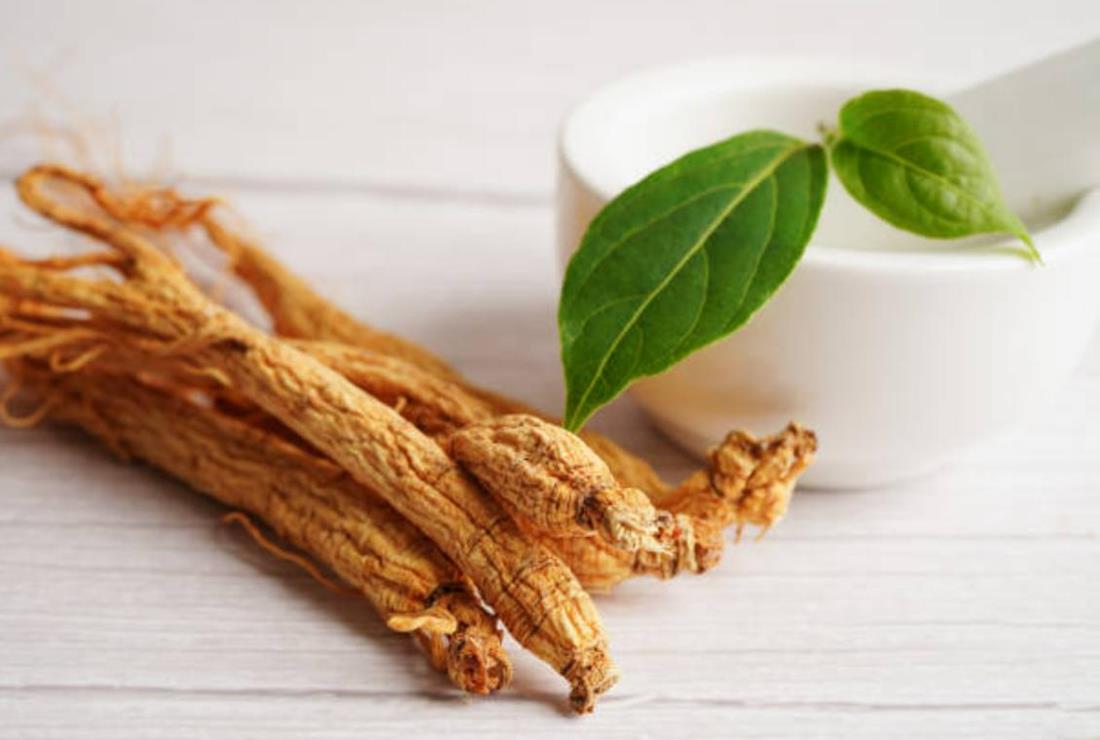 Bộ sưu tập hình ảnh củ sâm Ngọc Linh