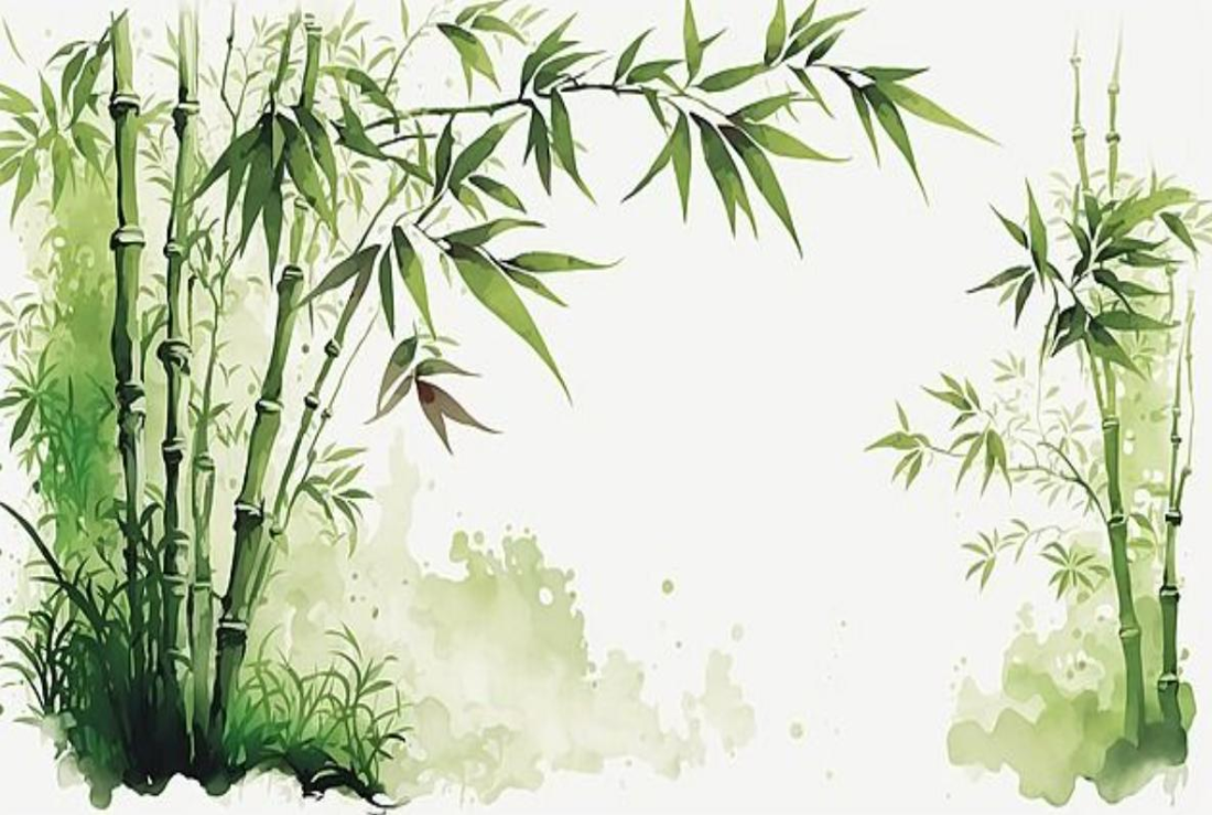 Bộ sưu tập hình nền cây tre cho máy tính & PC