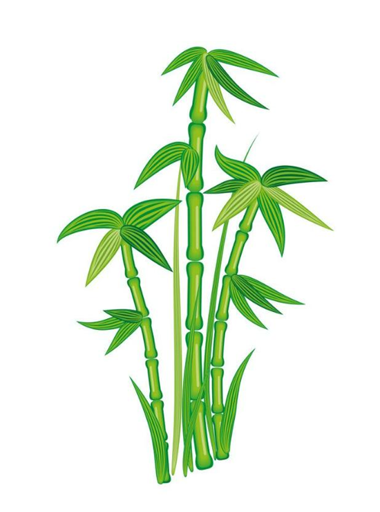 Tổng hợp hình vẽ cây tre đẹp, đơn giản cho bé