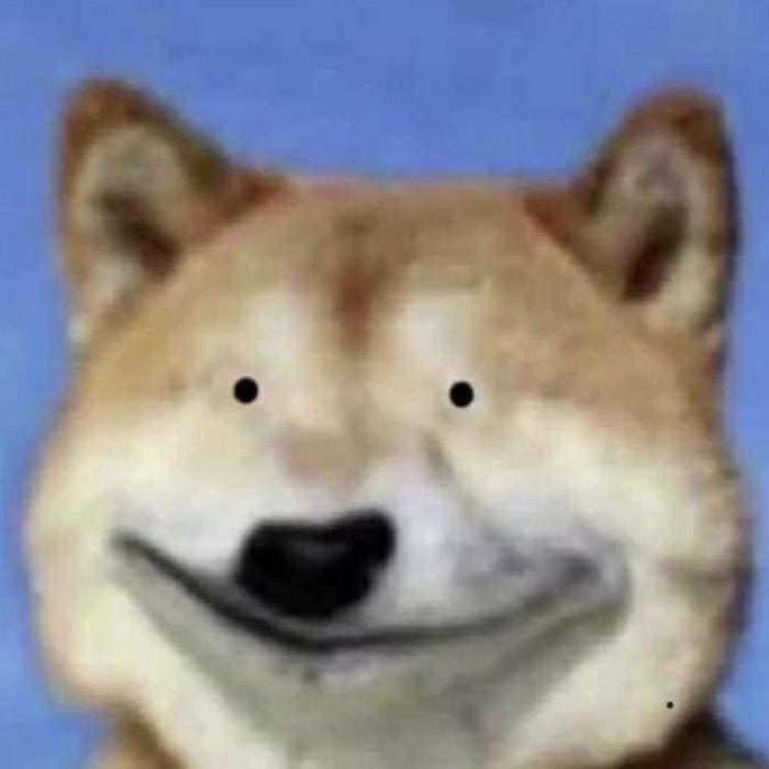Hình ảnh chó ngu meme