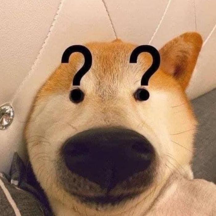 Hình ảnh chó ngu meme